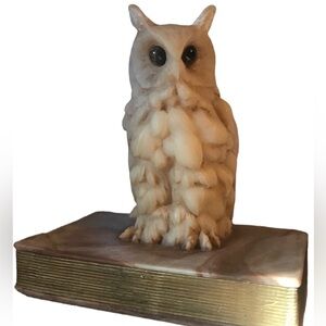 Genuine Stone Carved Owl on Book Tigers Eye Stone Vintage Decor Paperweight